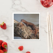 American Mink Serviette (Beispiel)