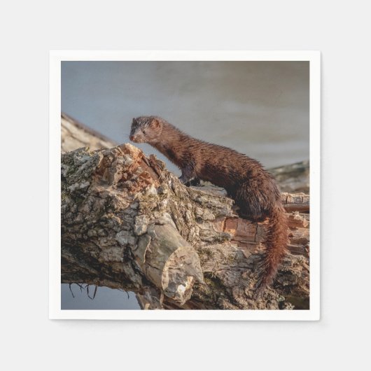 American Mink Serviette (Vorderseite)