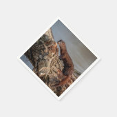 American Mink Serviette (Ecke)