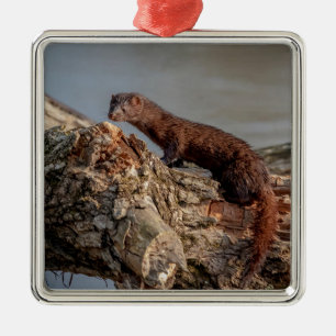 American Mink Silbernes Ornament