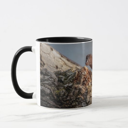 American Mink Tasse (Links)