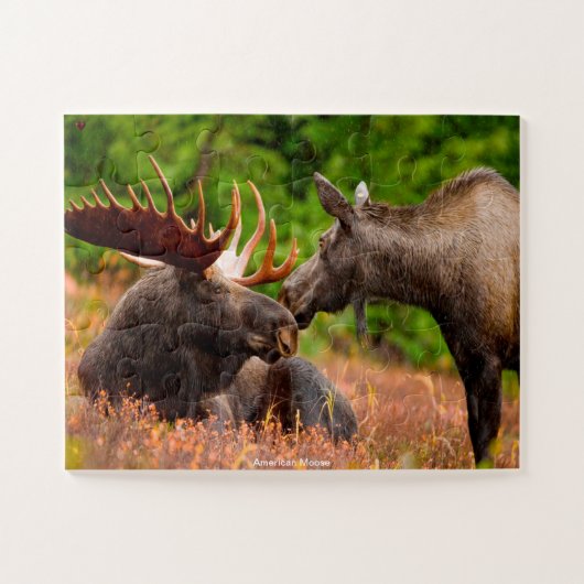 American Moose Puzzle (Horizontal)