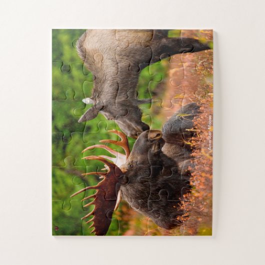 American Moose Puzzle (Vertikal)