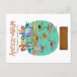 American Noodle Fish Postkarte