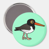American Oystercatcher Magnet (Vorderseite/Rückseite)
