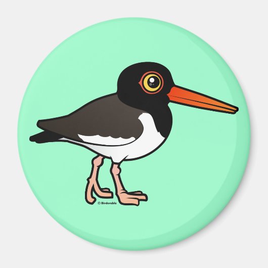 American Oystercatcher Magnet (Vorne)