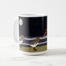 American Oystercatcher mit Küken nachts