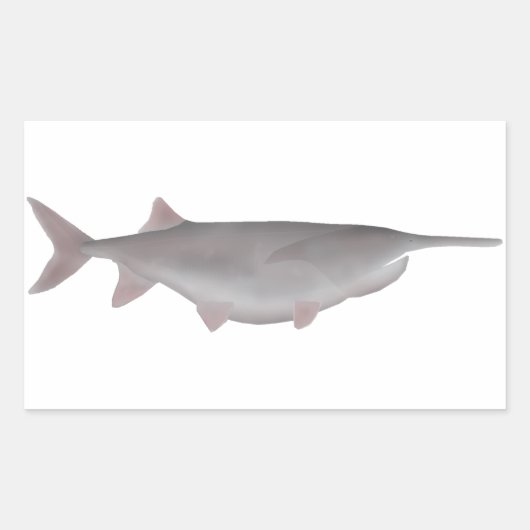 American Paddlefish Rechteckiger Aufkleber (Vorderseite)