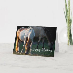 American Paint Horse Birthday Card Karte