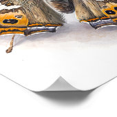 American Painted Lady Art Print Poster (Ecke)