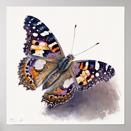 American Painted Lady Butterfly Art Print Poster (Vorne)