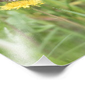 American Painted Lady Butterfly Foto Print (Ecke)