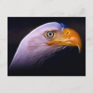 American Patriotic Bald Eagle, Nationales Symbol Postkarte