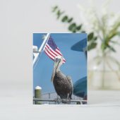American Pelican Postcard Postkarte (Stehend Vorderseite)