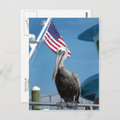 American Pelican Postcard Postkarte (Vorne/Hinten)