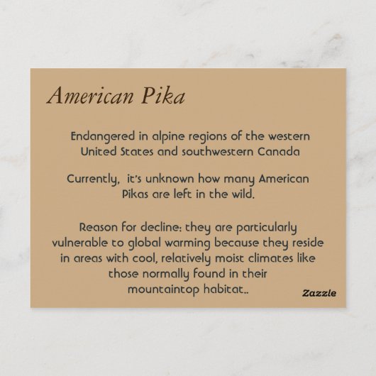American Pika Postkarte (Rückseite)