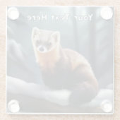 American Pine Marten Glasuntersetzer (Rückseite)