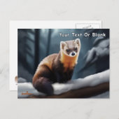 American Pine Marten Postkarte (Vorne/Hinten)