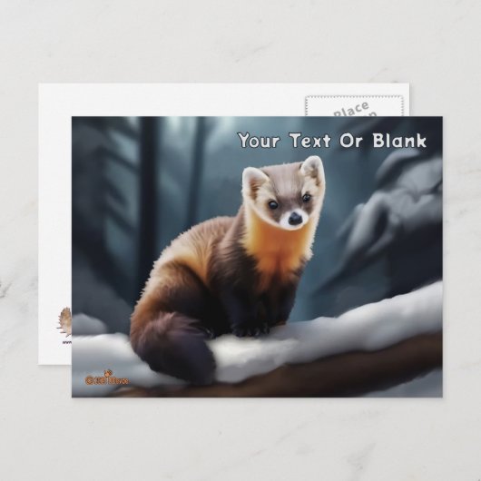 American Pine Marten Postkarte (Vorne/Hinten)