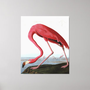American Pink Flamingo Gift Lover Sketch Flamingo Leinwanddruck