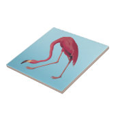 American Pink Flamingo Vintag Art Fliese (Seite)