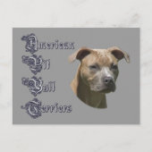 American Pit Bull Terrier (APBT) Postcard Postkarte (Vorderseite)