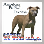 American Pit Bull Terrier (APBT) Poster (Vorne)