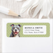 American Pit Bull Terrier Dog Rücksendeadresse Lab (Insitu)