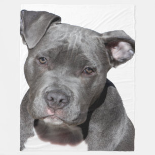 American Pit Bull Terrier Fleecedecke