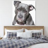 American Pit Bull Terrier Leinwanddruck (Insitu (Schlafzimmer))