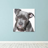American Pit Bull Terrier Leinwanddruck (Insitu (Holzboden))