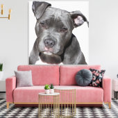 American Pit Bull Terrier Leinwanddruck (Insitu (Wohnzimmer))