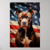 American Pit Bull Terrier Poster (Vorne)