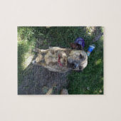 American Pit Bull Terrier Puzzle (Horizontal)