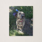 American Pit Bull Terrier Puzzle (Vertikal)