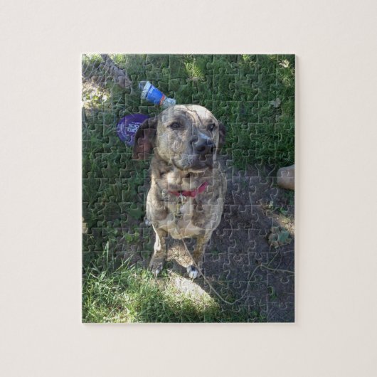 American Pit Bull Terrier Puzzle (Vertikal)