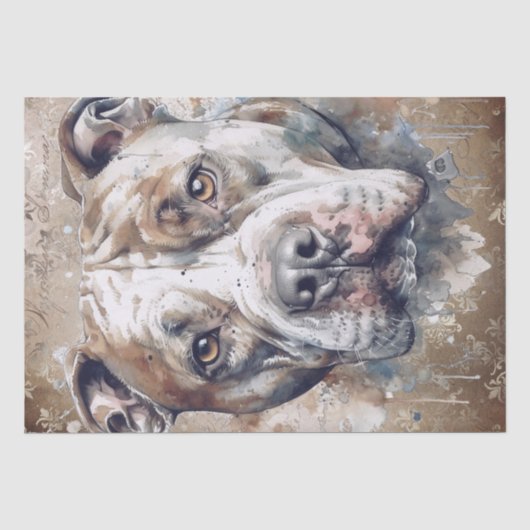American Pitbull Dog Seidenpapier (Vorderseite)
