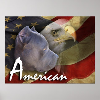 American Pitbull Terrier Dog, Flag, Adler Poster