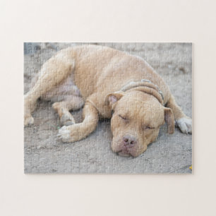 American Pitbull Terrier Dog Puzzle