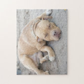 American Pitbull Terrier Dog Puzzle (Vertikal)