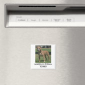 American Pitbull Terrier Magnet (In Situ (Geschirrspüler))