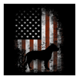 American Pitbull Terrier T - Shirt American Flag P Poster