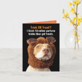 American Pitbull Trick oder Treat Halloween Spaß C Karte (Gelbe Blume)