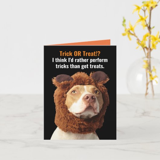 American Pitbull Trick oder Treat Halloween Spaß C Karte (Gelbe Blume)