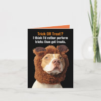 American Pitbull Trick oder Treat Halloween Spaß C