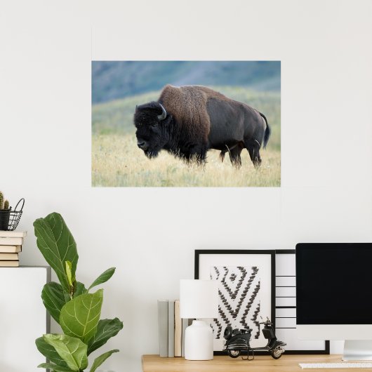 American Plains Bison Poster (Heimbüro)