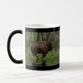 American Plains Buffalo Bison Artwork Kaffee Tasse (Links)