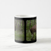 American Plains Buffalo Bison Artwork Kaffee Tasse (Mittel)