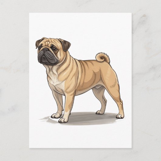 American Pugabull Postkarte (Vorderseite)