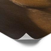 American Quarter Horse Foto Print Poster (Ecke)